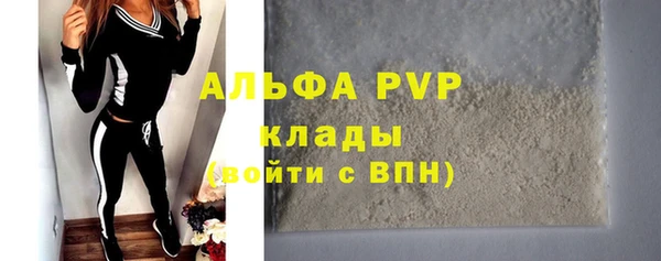 ГАЛЛЮЦИНОГЕННЫЕ ГРИБЫ Новозыбков