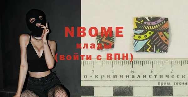 ГАЛЛЮЦИНОГЕННЫЕ ГРИБЫ Новозыбков