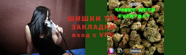ешки Новодвинск