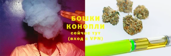 ешки Новодвинск