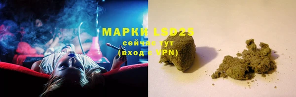 ешки Новодвинск