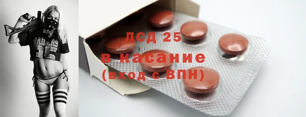 ГАЛЛЮЦИНОГЕННЫЕ ГРИБЫ Новозыбков
