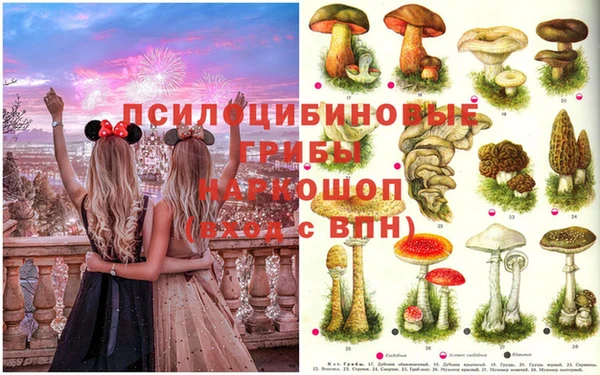 мет Нязепетровск