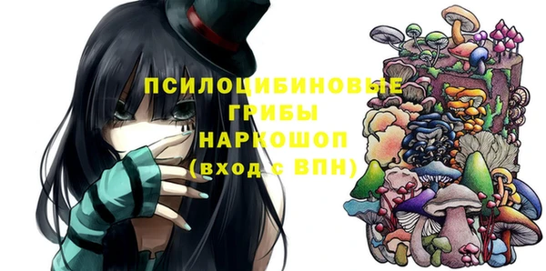 ешки Новодвинск
