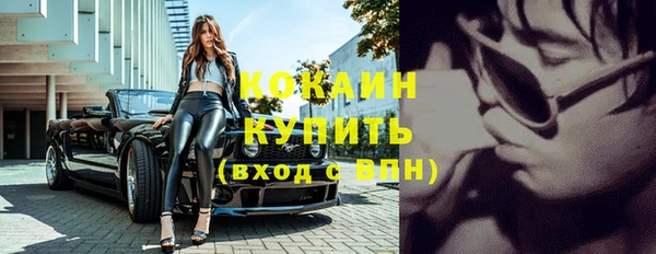 ГАЛЛЮЦИНОГЕННЫЕ ГРИБЫ Новозыбков