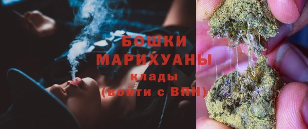 ГАЛЛЮЦИНОГЕННЫЕ ГРИБЫ Новозыбков