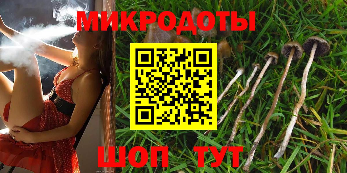Нововоронеж  Псилоцибиновые грибы MAGIC MUSHROOMS  Галлюциногенные грибы Psilocybe  Вход с VPN 